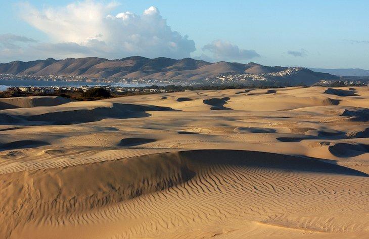 Oceano Dunes