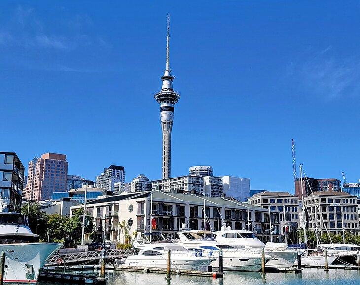 La Sky Tower d'Auckland depuis le front de mer