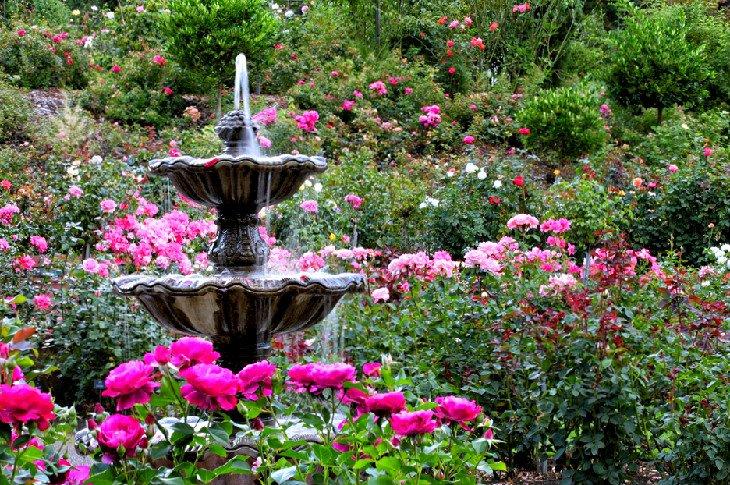 Jardín de Pruebas de Rosas Internacional