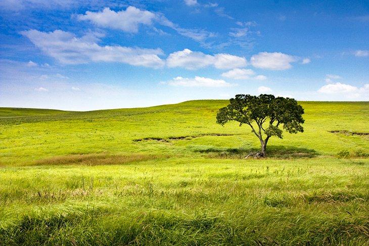 Réserve nationale de prairie de graminées hautes