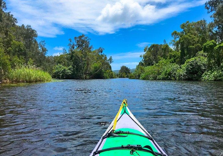 Kayak en el río Noosa Superior