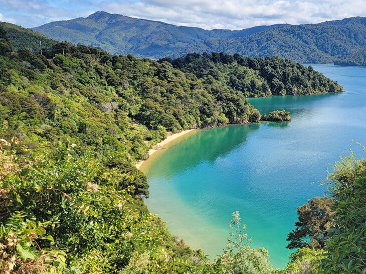 Entre Nelson y Picton