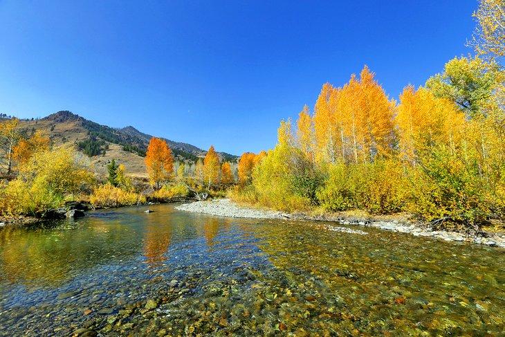 Colores de otoño en el río Big Wood en Sun Valley, Idaho