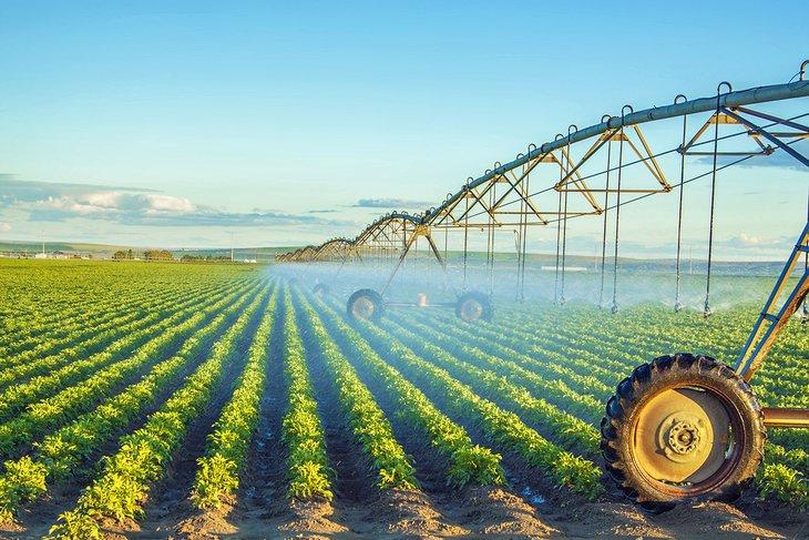 Campo de patatas en Idaho