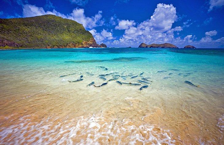 Lord Howe Island