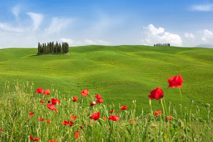 Paisaje idílico en Val d'Orcia, Toscana