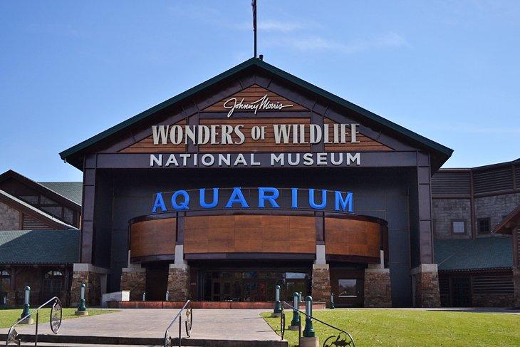 Wonders of Wildlife National Museum und Aquarium