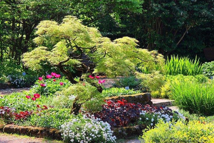 Jardines Botánicos