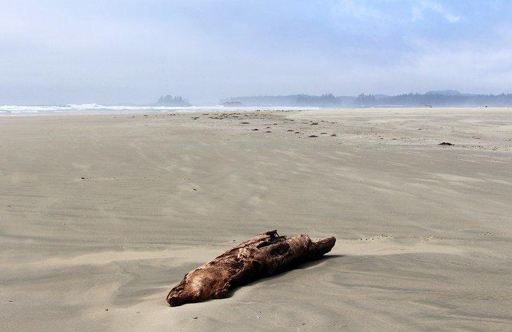 Sendero Combers Beach