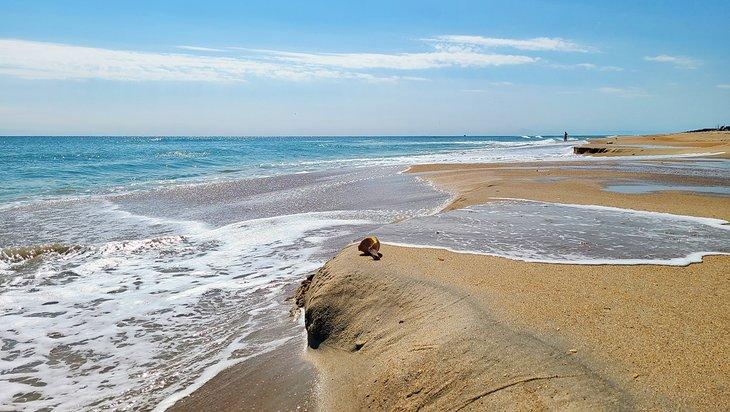 Der Strand in Frisco