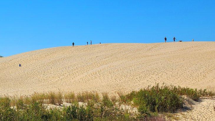 Dunas de arena en el Parque Estatal Jockey's Ridge