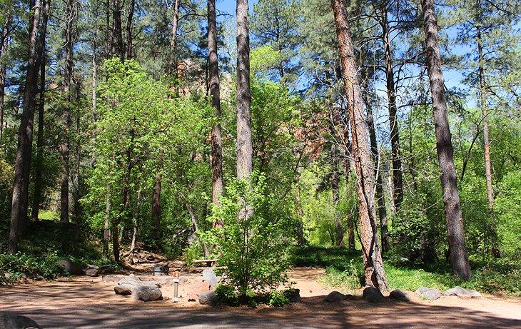 Camping Manzanita