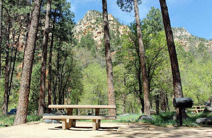 Camping Pine Flat