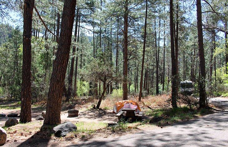 Camping Cave Springs