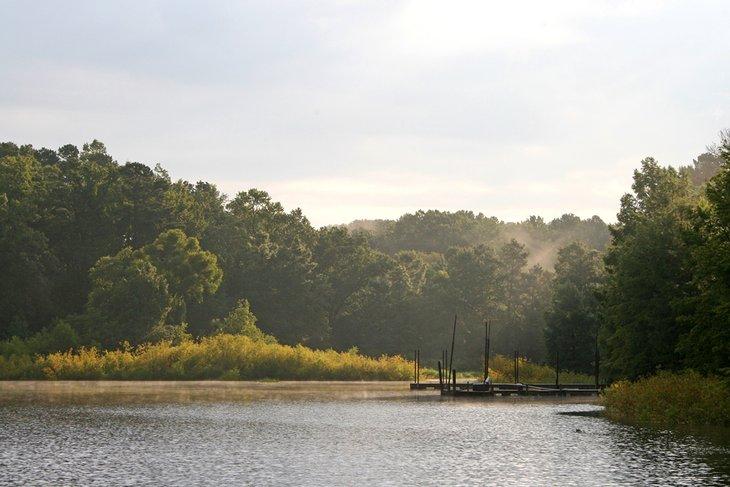 Lago O' The Pines