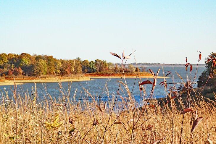 Lac Rathbun