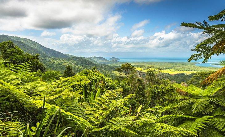 Parque Nacional Daintree