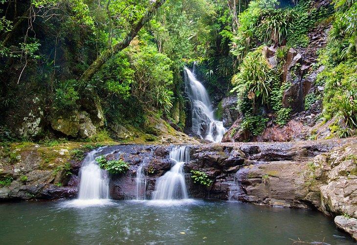Parque Nacional Lamington