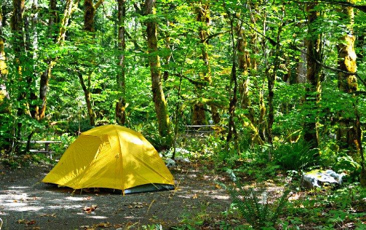 Camping en Mineral Park
