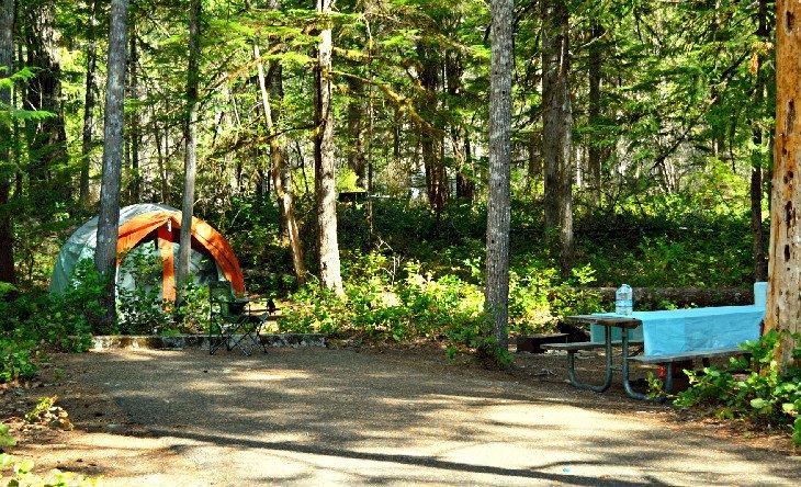 Sitio de camping en tienda en Goodell Creek Campground