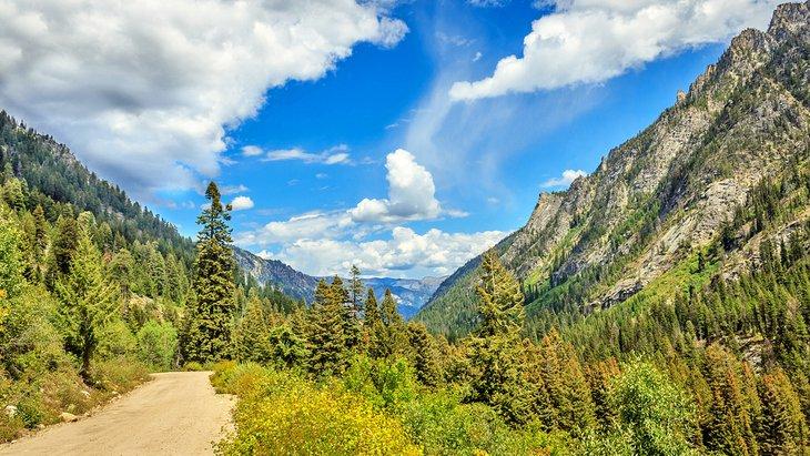Camino de grava en el Bosque Nacional Payette