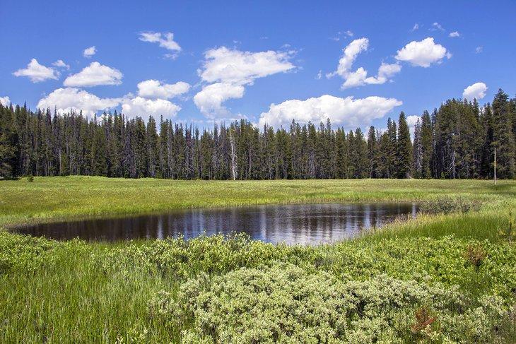 Bosque Nacional Boise