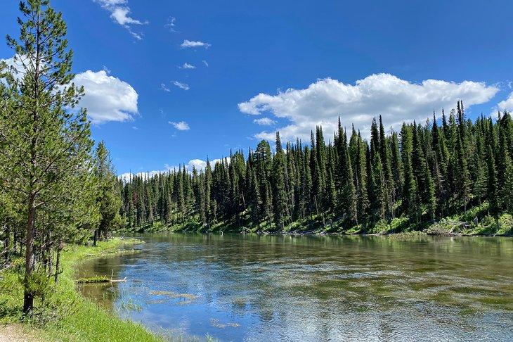 Bosque Nacional Caribou-Targhee