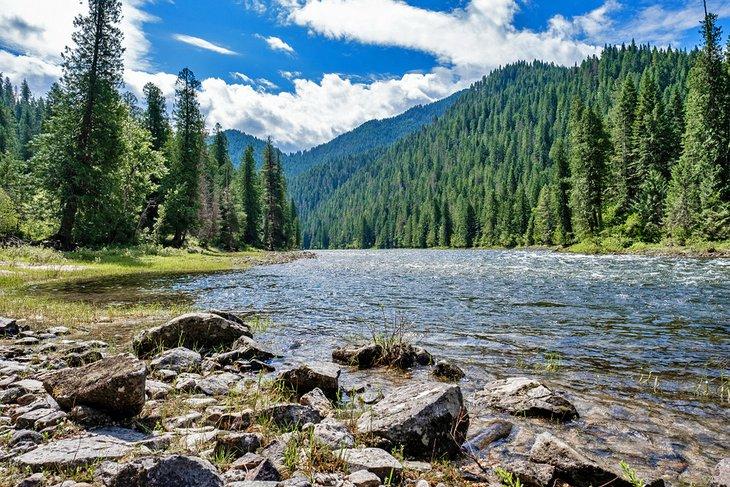 Río Lochsa, Bosque Nacional Nez Perce-Clearwater