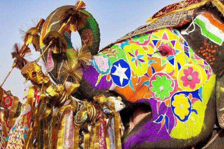 Festival de Elefantes en Jaipur