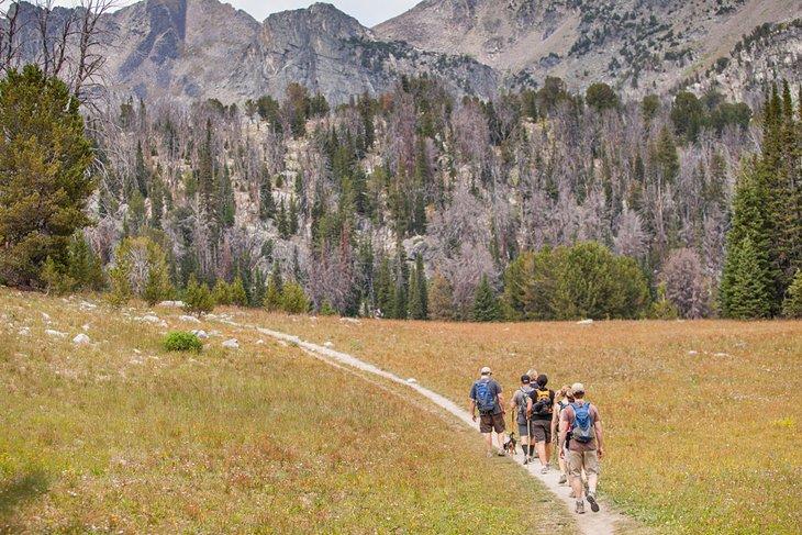 Senderistas dirigiéndose al Beehive Basin