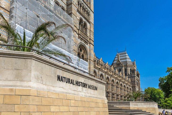 Museo de Historia Natural en Londres