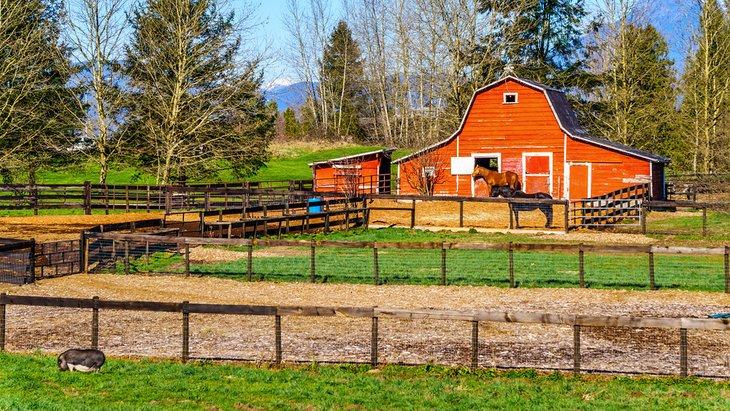 Granja en Langley