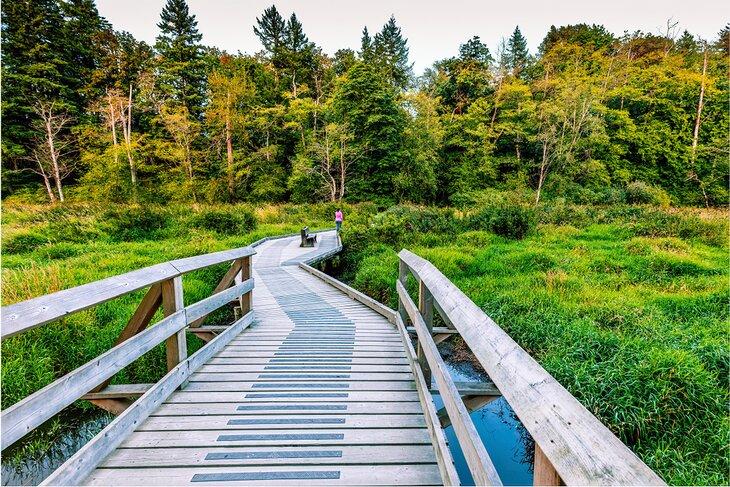 Parque Regional Campbell Valley
