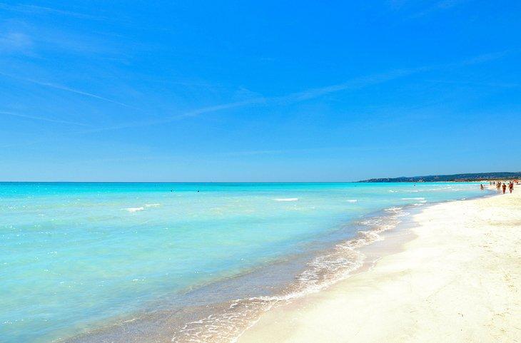 Playa blanca en Rosignano cerca de Livorno