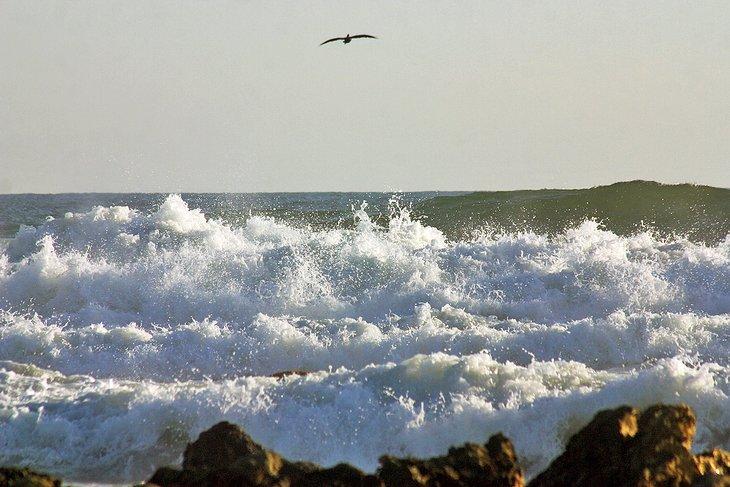 Surf complicado en Troncones, Guerrero