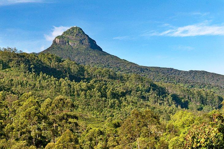 Pico de Adán
