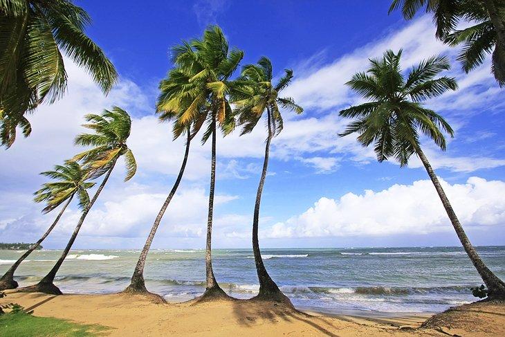Plage à Las Terrenas