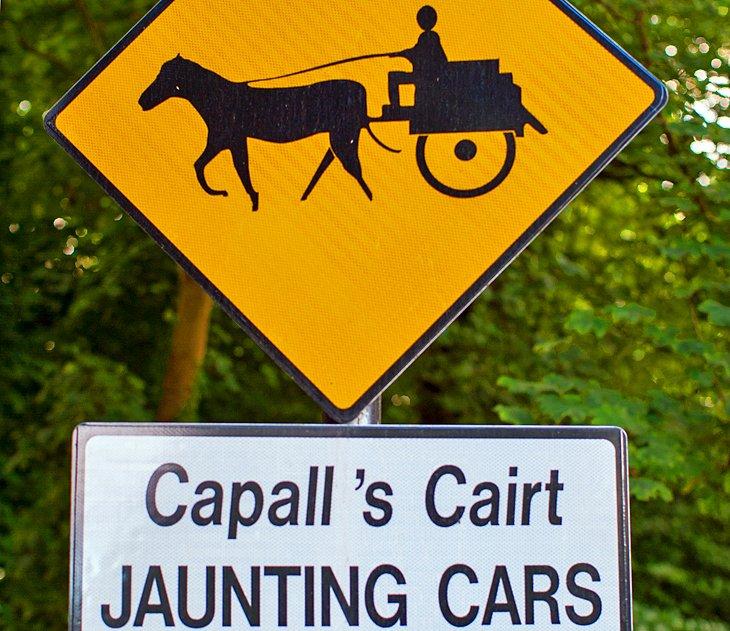 Cartel de coches jaunting