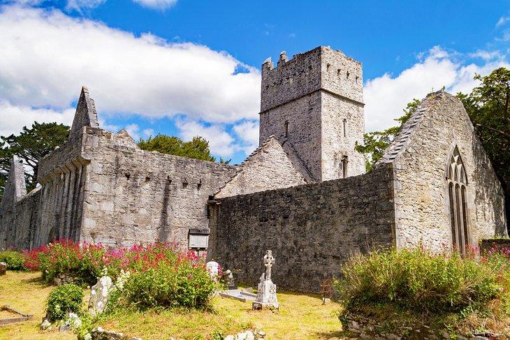 Abadía de Muckross