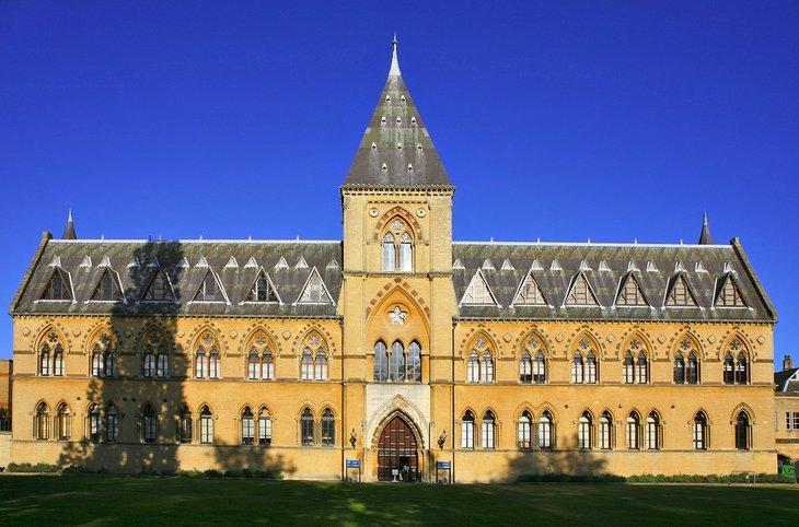 Museo de Historia Natural de la Universidad de Oxford (OUMNH)