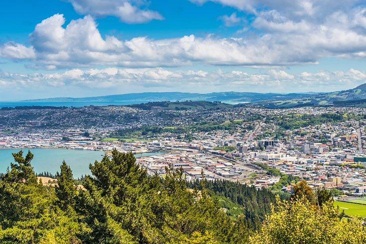 Vue de Dunedin depuis Signal Hill