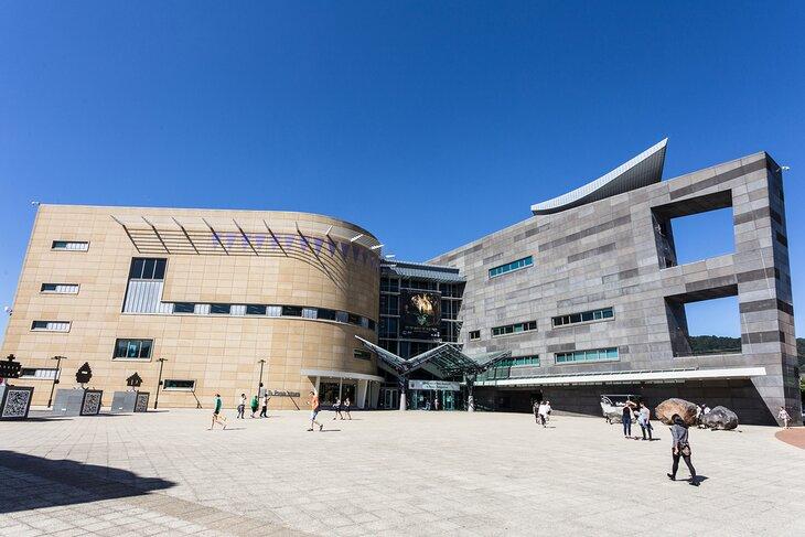 Musée de Nouvelle-Zélande (Te Papa Tongarewa)