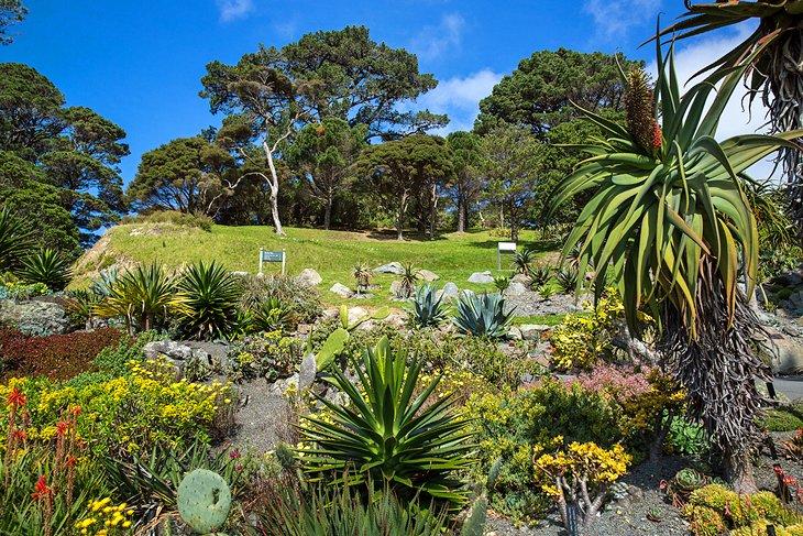 Jardin botanique de Wellington