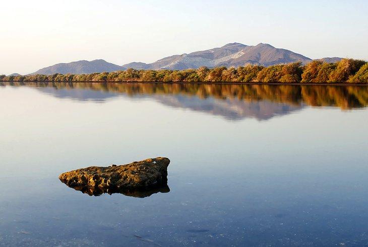 Kalba