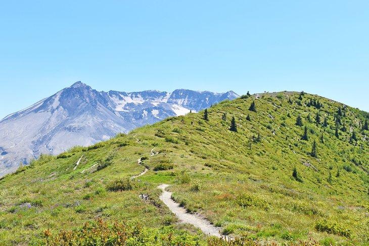 Sendero de Harry's Ridge