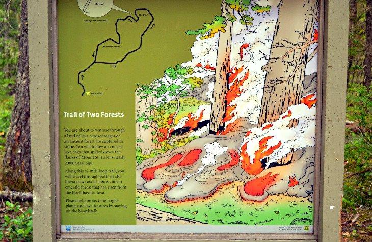 Información interpretativa a lo largo del Sendero de Dos Bosques