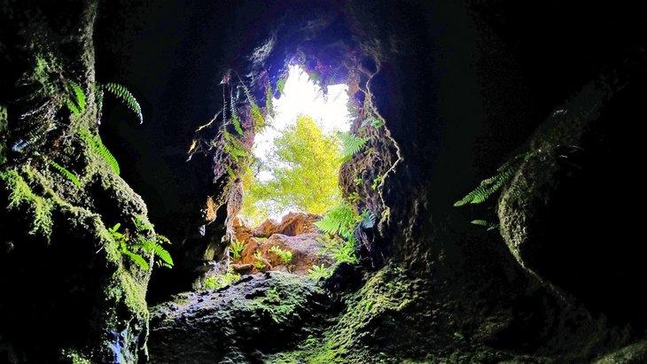 Apertura de la cueva al final del sendero