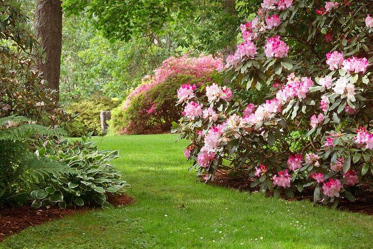 Parque Hendricks