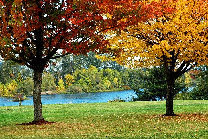 Parque Alton Baker