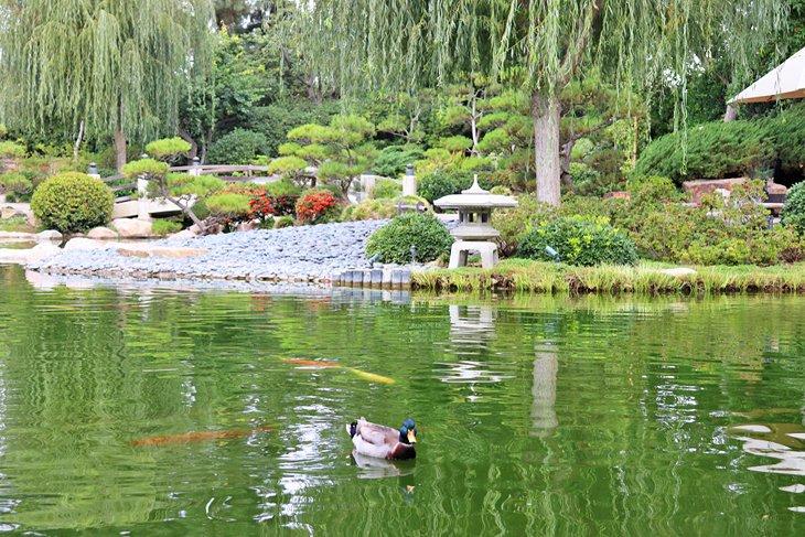 Jardin japonais Earl Burns Miller